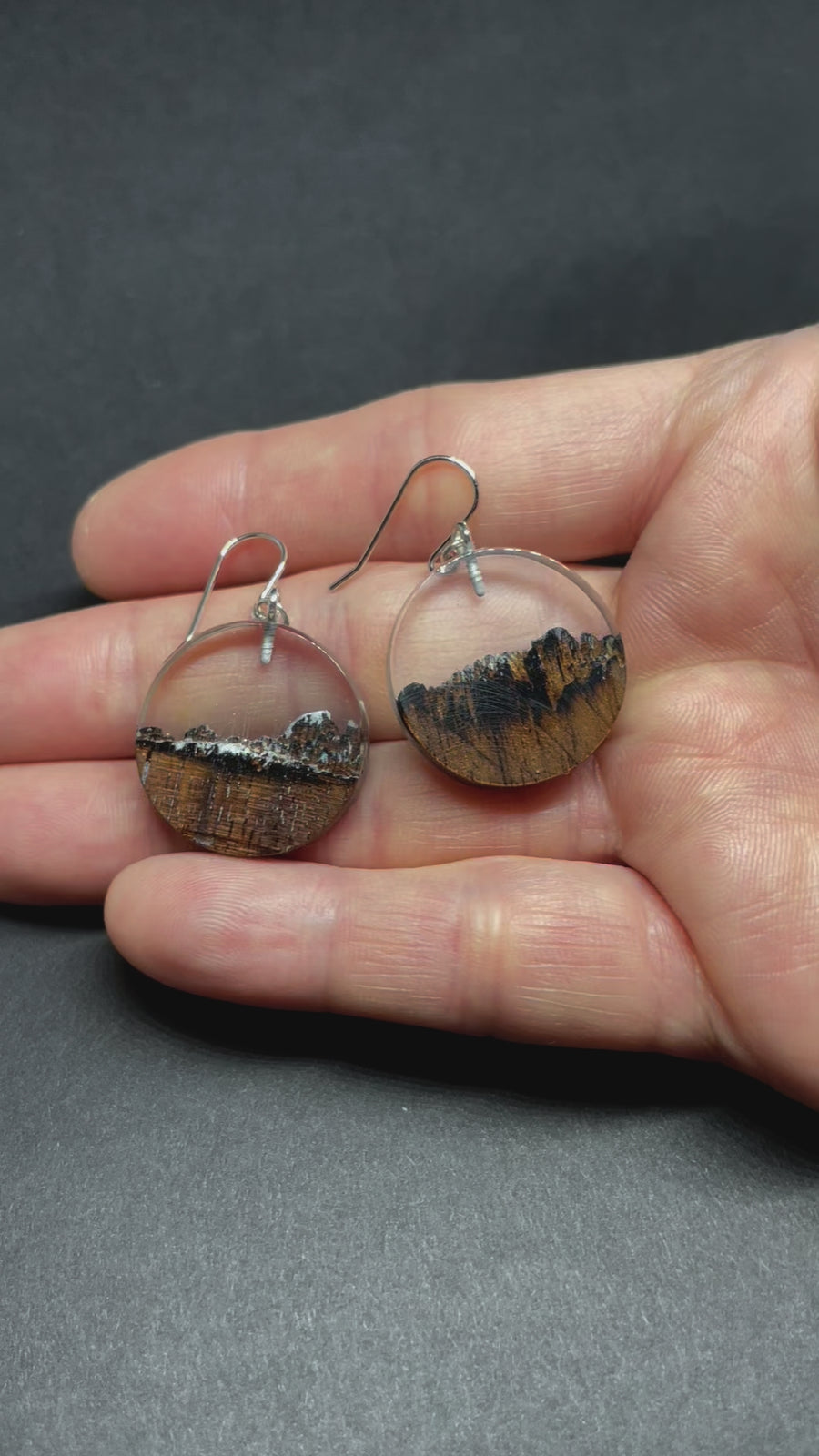 Wood and Resin Clear Sky Canyon Walnut Coins - Earrings